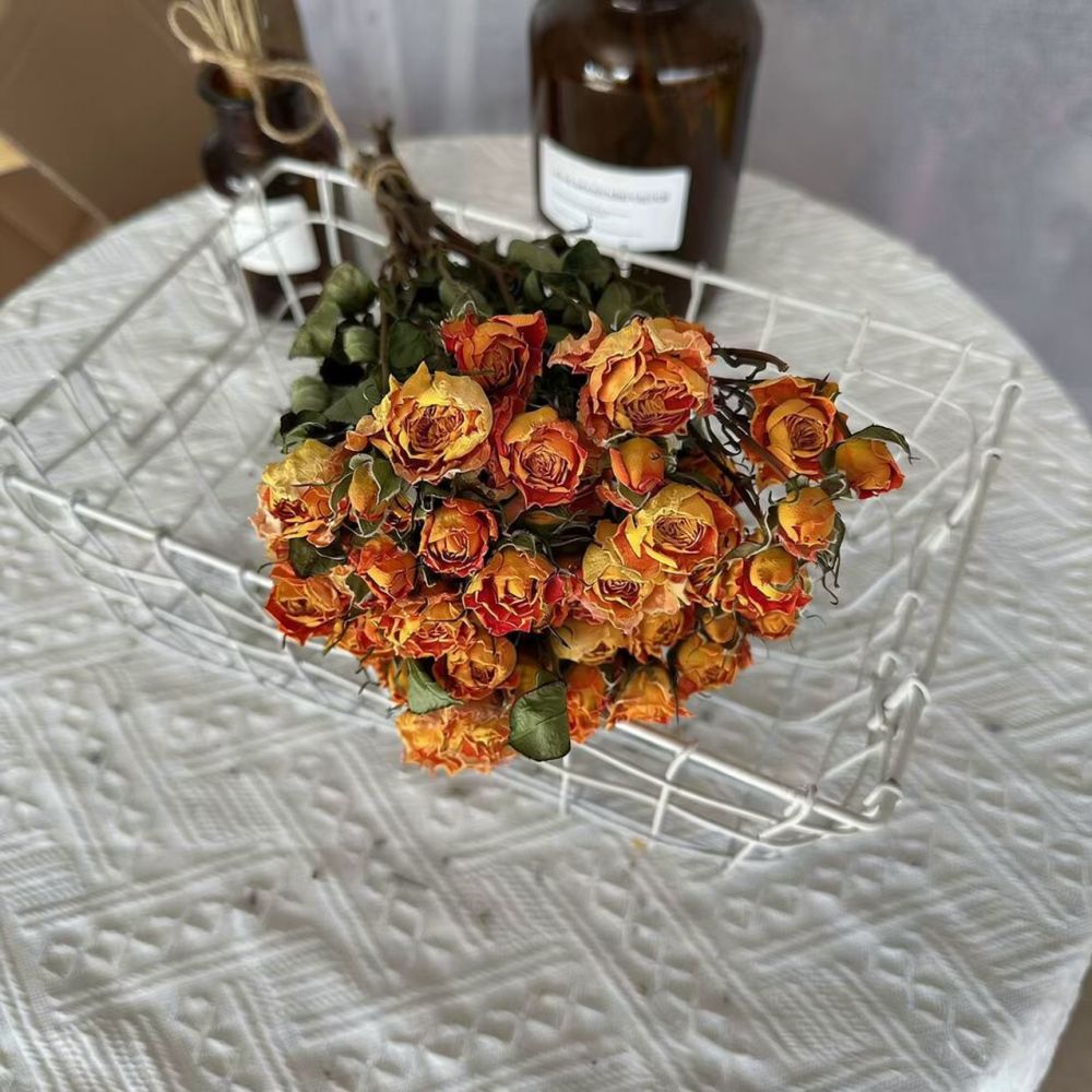 Echte, geconserveerde rozen, g - Resin Craft Ideas recensie en prijs
